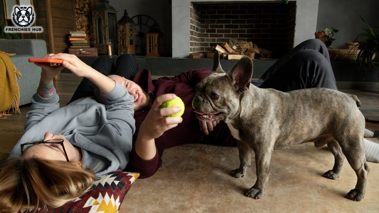 Creative Exercise Ideas for Your French Bulldog's Well-being