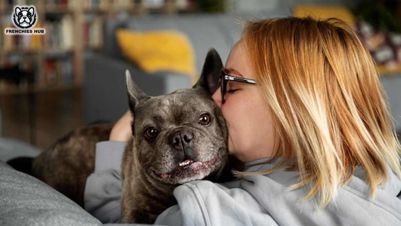 Unlock the Charm of Grey French Bulldogs: Expert Insights & Essential Care Tips!