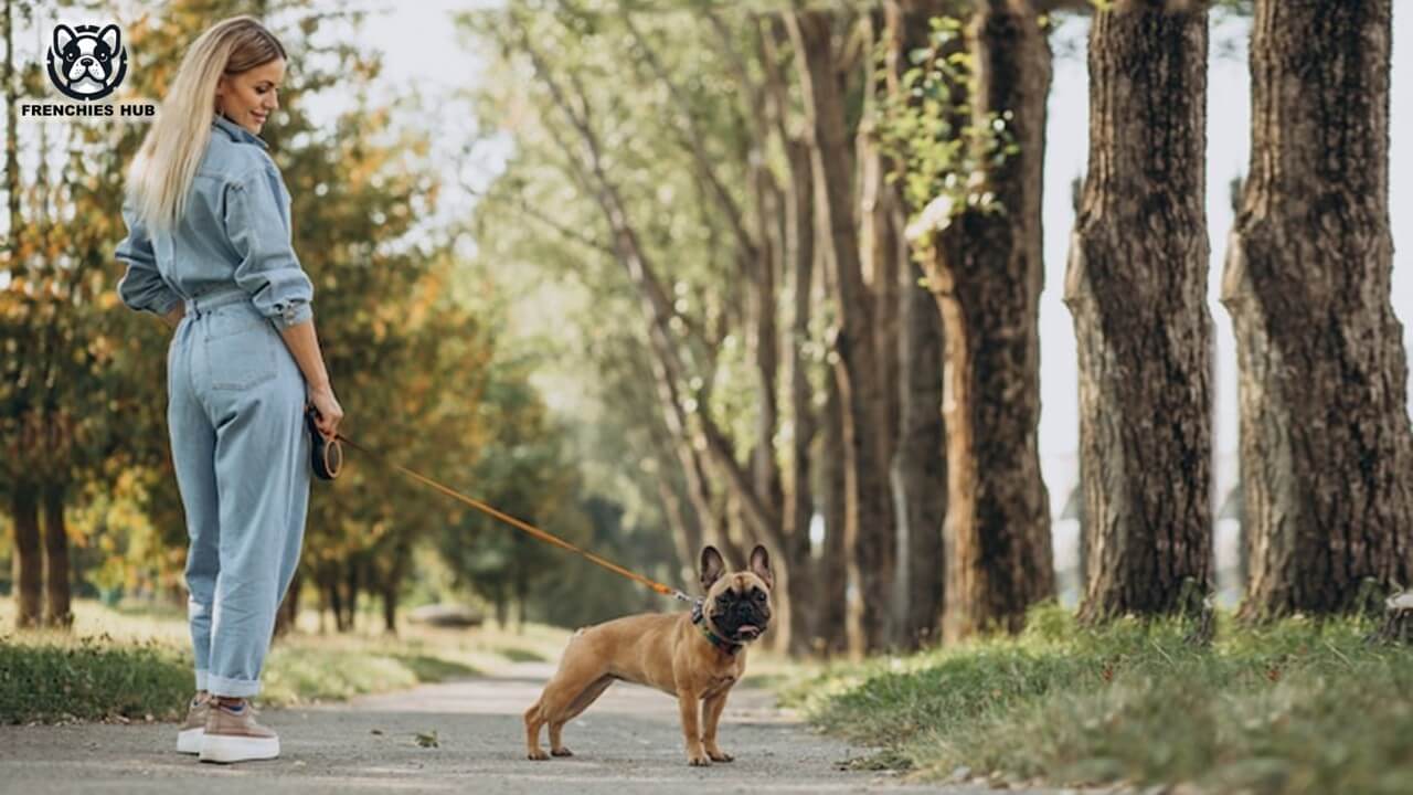 Hiking with Your French Bulldog - Essential Tips for a Safe Adventure