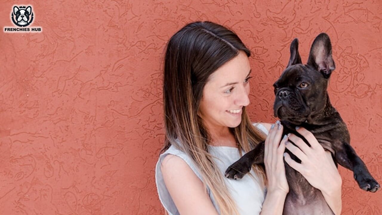 Top Places to Buy a French Bulldog Trusted Breeders & Adoption Tips